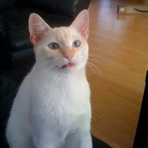 Meet your Posher, Sara